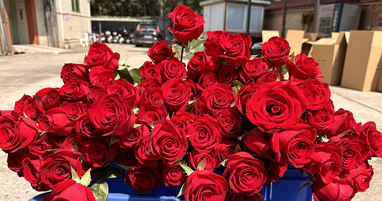 致最美的你！2024年三八婦女節(jié)如約而至，雅香麗懷揣著無比的敬意與期待，熱烈慶祝這個(gè)專屬于女性朋友們的盛大節(jié)日！